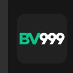Bv999 game