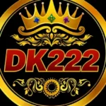 DK222 Game