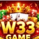 W33 Game