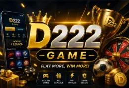 D222 Game